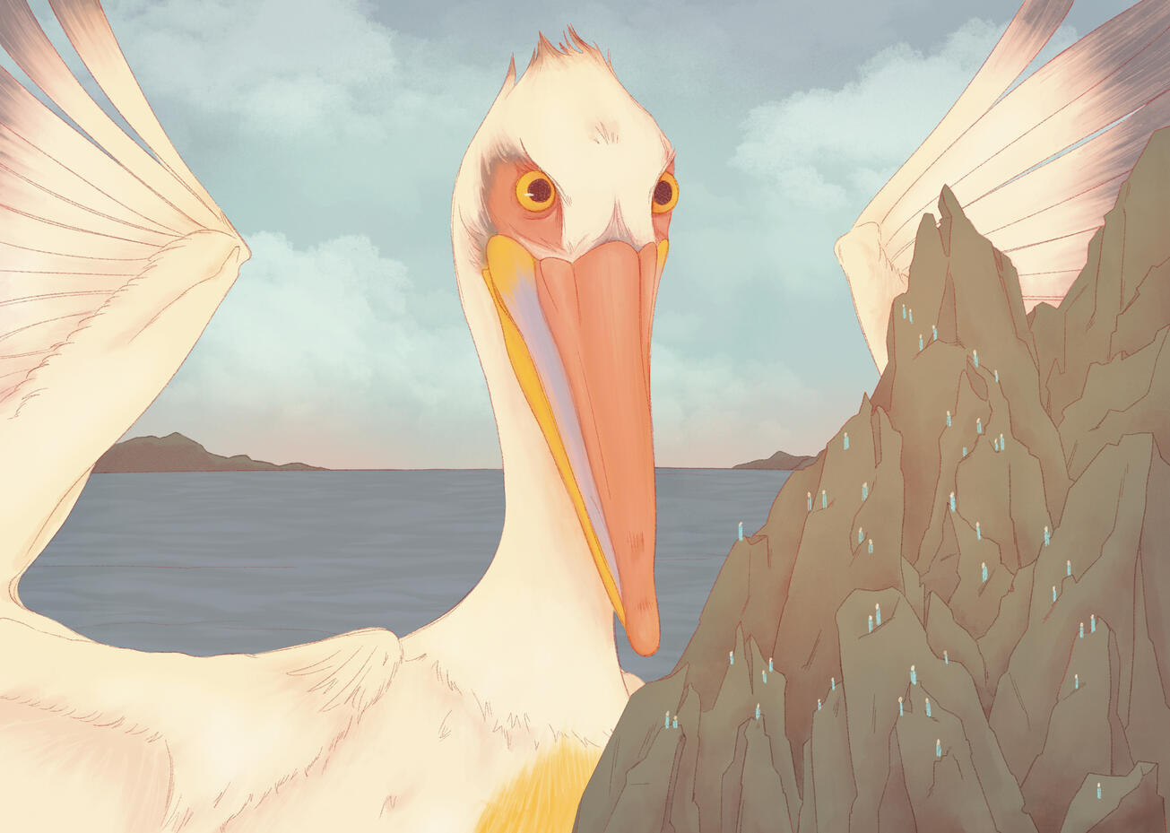 Illustration for Olivia Begbie's ERI.